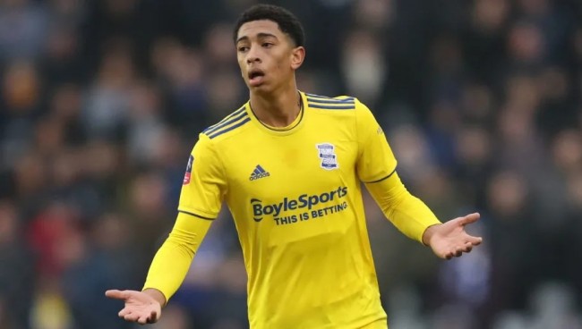 博彩运营商参与珊瑚礁保护